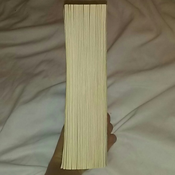 Brisinger Amazing Book and a real page turner!! - Picture 2 of 8